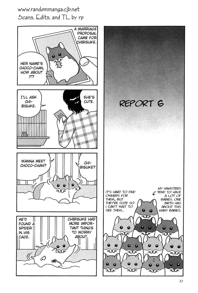 Hamster no Kenkyuu Report Chapter 4 1